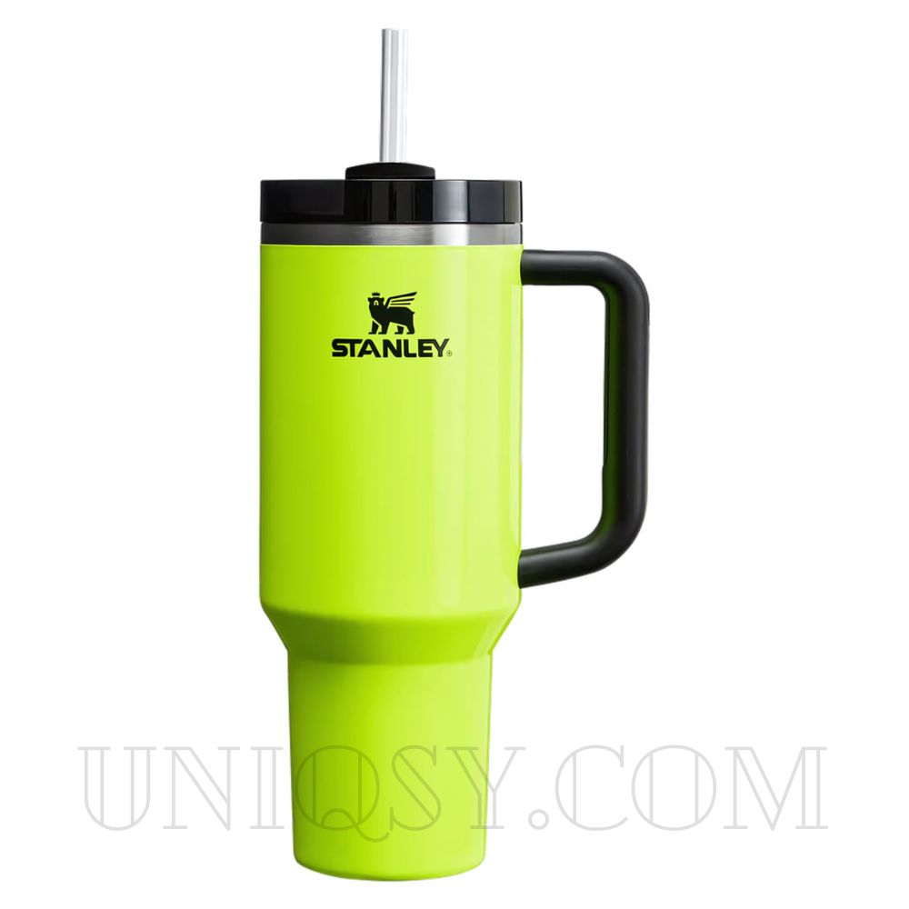 Stanley 40 OZ Tumbler with Handle and Straw Lid - Stainless Steel
